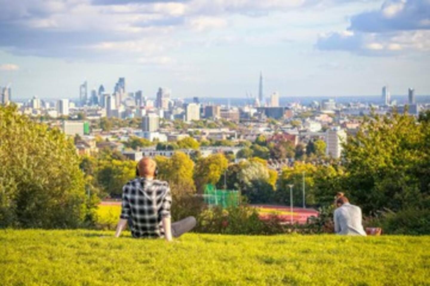 Garden Flat With A Heath Views & Skyline Londres